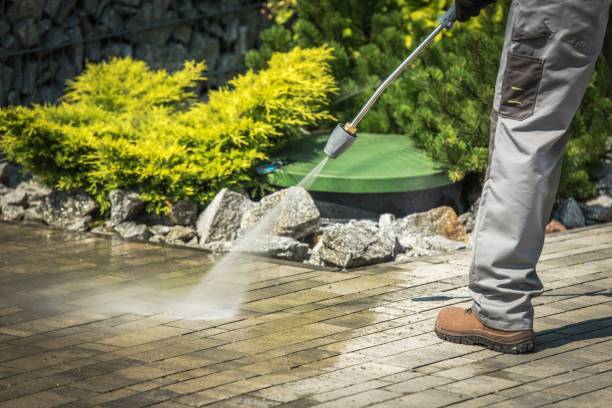 Best Winterizing Services  in Hartington, NE